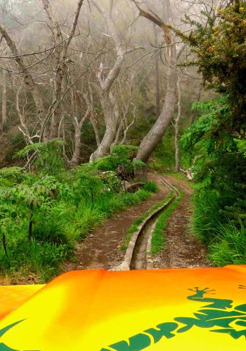 4×4 Jeep Safari Vineyards & Colors – Cabo Girão